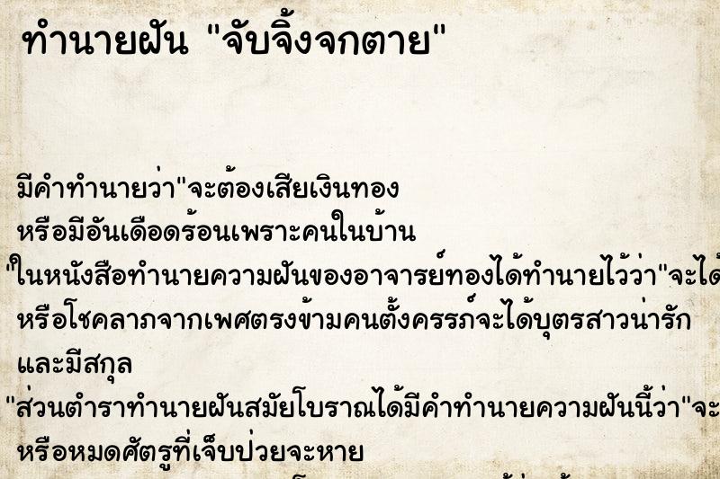 ทำนายฝันจับจิ้งจกตาย ทำนายฝันทำนายฝันจับจิ้งจกตาย