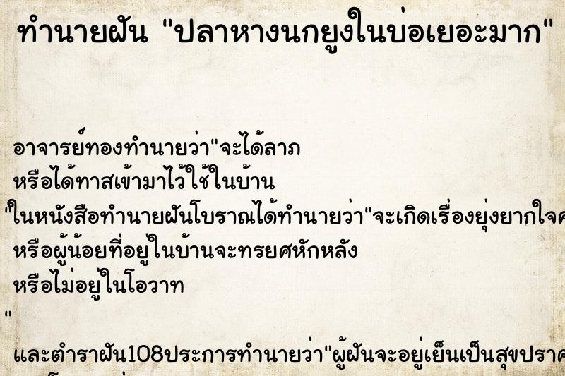 ทำนายฝัน ปลาหางนกยูงในบ่อเยอะมาก ตำราโบราณ แม่นที่สุดในโลก