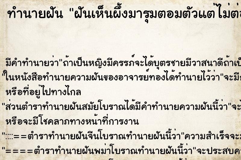 ทำนายฝัน ฝันเห็นผึ้งมารุมตอมตัวแต่ไม่ต่อย ตำราโบราณ แม่นที่สุดในโลก