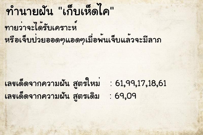 ทำนายฝันเก็บเห็ดไค ทำนายฝันทำนายฝันเก็บเห็ดไค