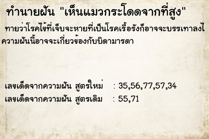 ทำนายฝันเห็นแมวกระโดดจากที่สูง ทำนายฝันทำนายฝันเห็นแมวกระโดดจากที่สูง