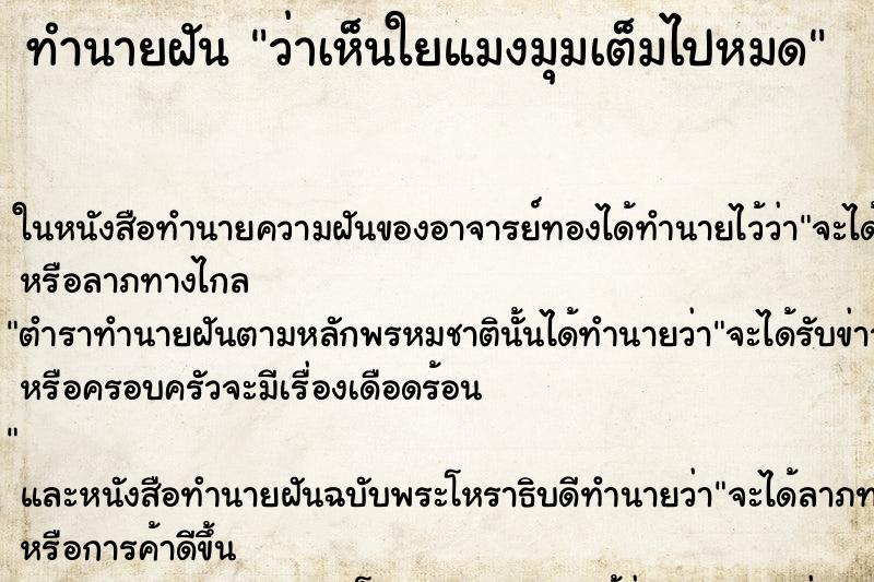 ทำนายฝัน ว่าเห็นใยแมงมุมเต็มไปหมด ทำนายฝัน ว่าเห็นใยแมงมุมเต็มไปหมด