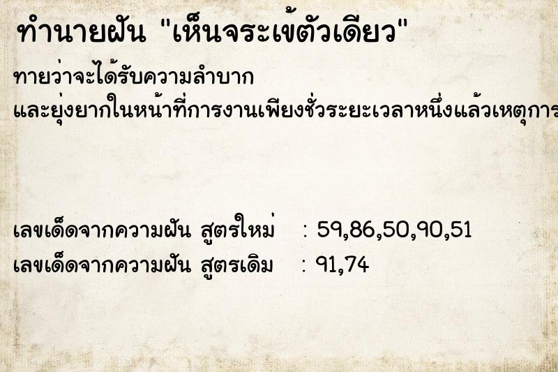 ทำนายฝันทำนายฝันเห็นจระเข้ตัวเดียว