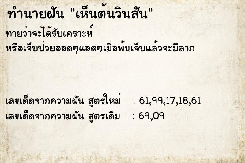 ทำนายฝันเห็นต้นวินสัน ทำนายฝันทำนายฝันเห็นต้นวินสัน