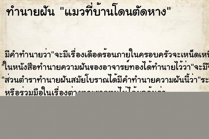 ทำนายฝัน แมวที่บ้านโดนตัดหาง
