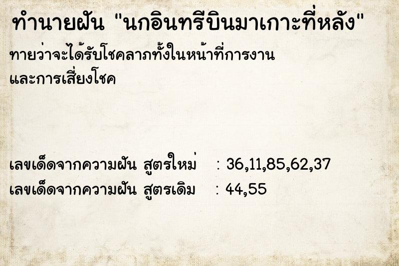 ทำนายฝันนกอินทรีบินมาเกาะที่หลัง ทำนายฝันทำนายฝันนกอินทรีบินมาเกาะที่หลัง