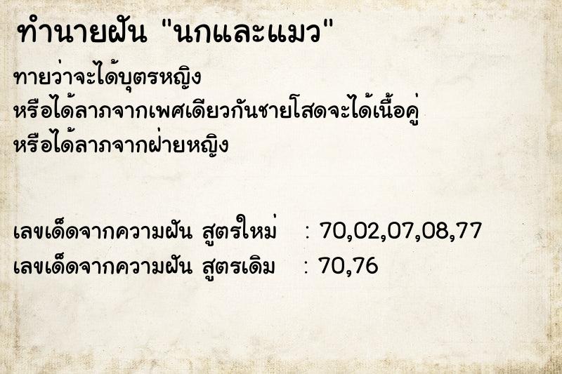 ทำนายฝันนกและแมว ทำนายฝันทำนายฝันนกและแมว