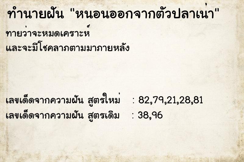 ทำนายฝันทำนายฝันหนอนออกจากตัวปลาเน่า