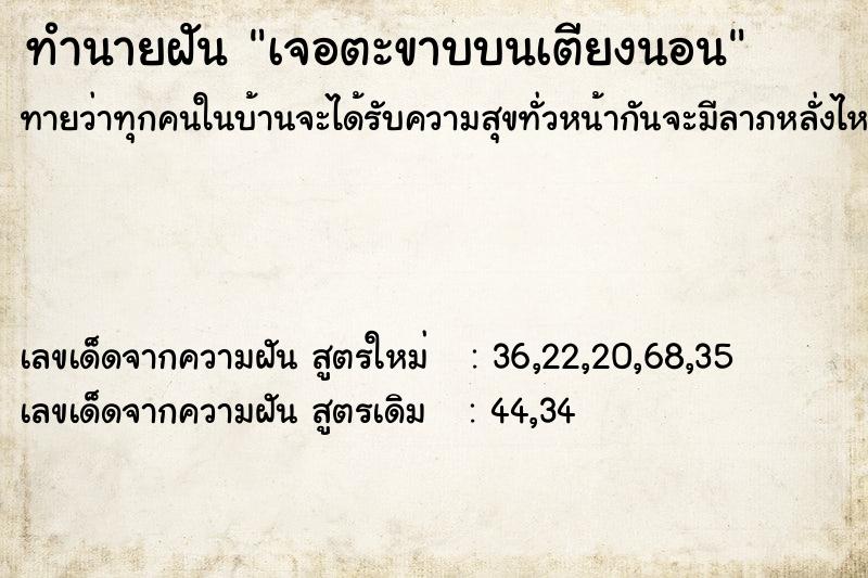 ทำนายฝันเจอตะขาบบนเตียงนอน ทำนายฝันทำนายฝันเจอตะขาบบนเตียงนอน