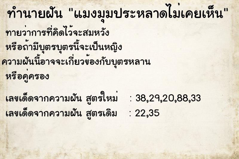 ทำนายฝันทำนายฝันแมงมุมประหลาดไม่เคยเห็น
