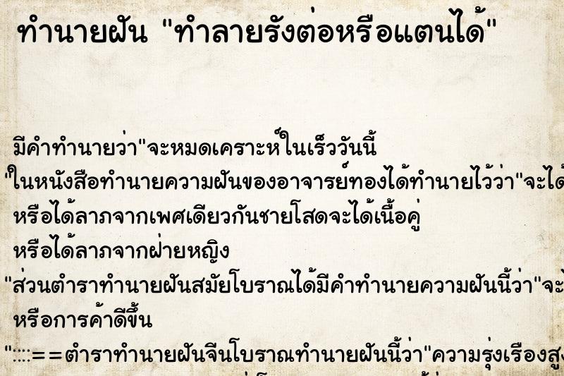 ทำนายฝัน ทำลายรังต่อหรือแตนได้ ทำนายฝัน ทำลายรังต่อหรือแตนได้