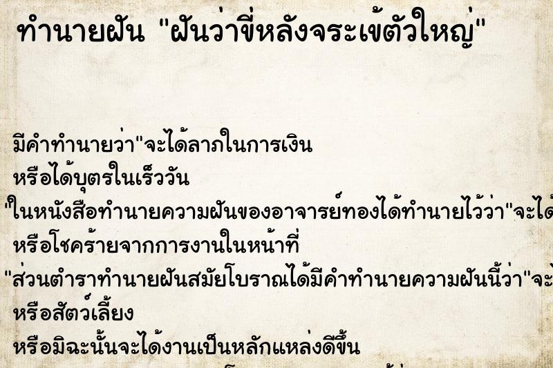 ทำนายฝัน ฝันว่าขี่หลังจระเข้ตัวใหญ่ ตำราโบราณ แม่นที่สุดในโลก