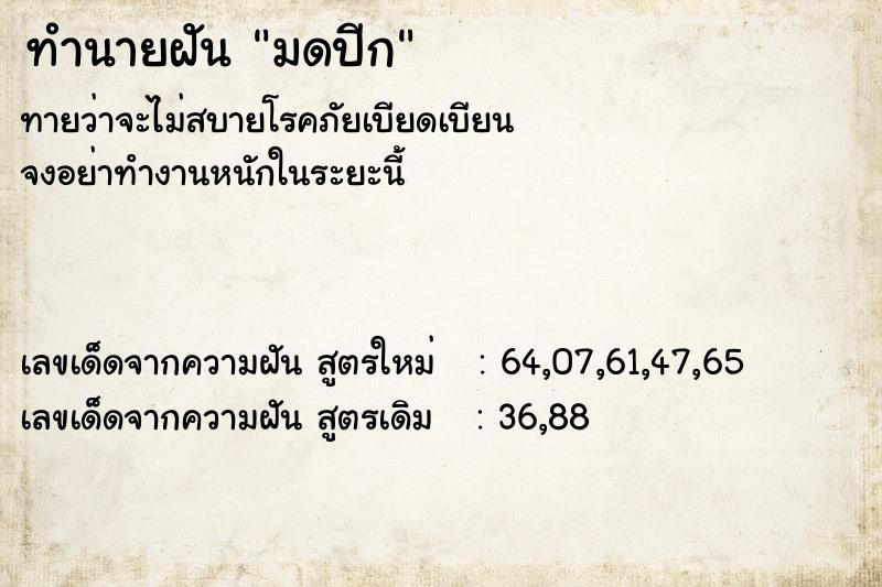 ทำนายฝันมดปีก ทำนายฝันทำนายฝันมดปีก
