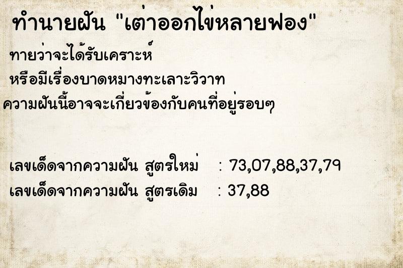 ทำนายฝันเต่าออกไข่หลายฟอง ทำนายฝันทำนายฝันเต่าออกไข่หลายฟอง