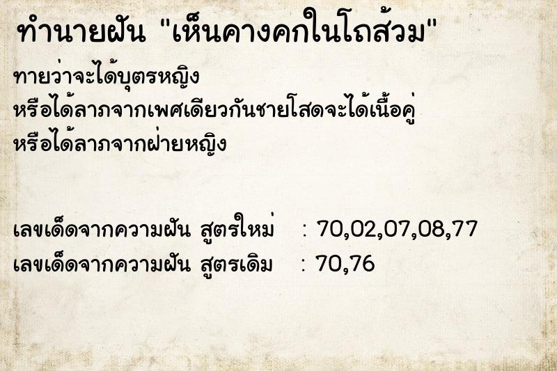 ทำนายฝันเห็นคางคกในโถส้วม ทำนายฝันทำนายฝันเห็นคางคกในโถส้วม