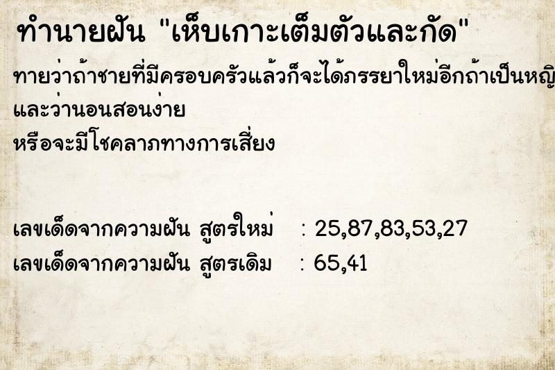 ทำนายฝันทำนายฝันเห็บเกาะเต็มตัวและกัด
