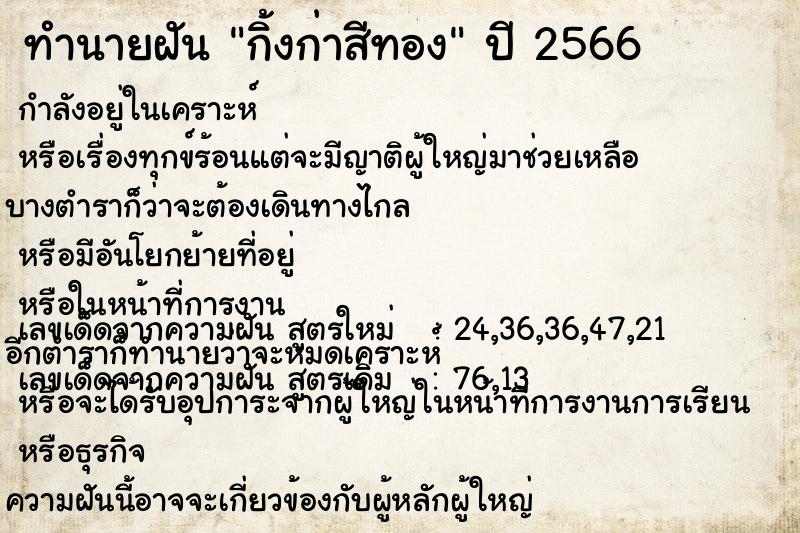 ทำนายฝัน กิ้งก่าสีทอง ทำนายฝัน กิ้งก่าสีทอง