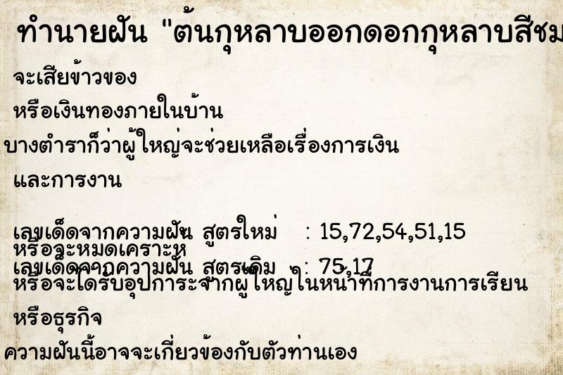 ทำนายฝัน ต้นกุหลาบออกดอกกุหลาบสีชมพูแม่นๆ ฟรี ด้วยตำราหนังสือทำนายฝันโบราณ ทำนายฝันต้นกุหลาบออกดอกกุหลาบสีชมพู