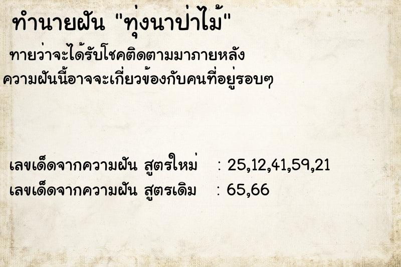 ทำนายฝันทุ่งนาป่าไม้ ทำนายฝันทำนายฝันทุ่งนาป่าไม้
