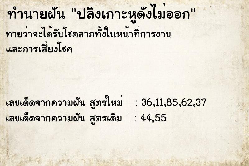 ทำนายฝันปลิงเกาะหูดังไม่ออก ทำนายฝันทำนายฝันปลิงเกาะหูดังไม่ออก