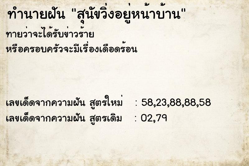 ทำนายฝันทำนายฝันสุนัขวิ่งอยู่หน้าบ้าน