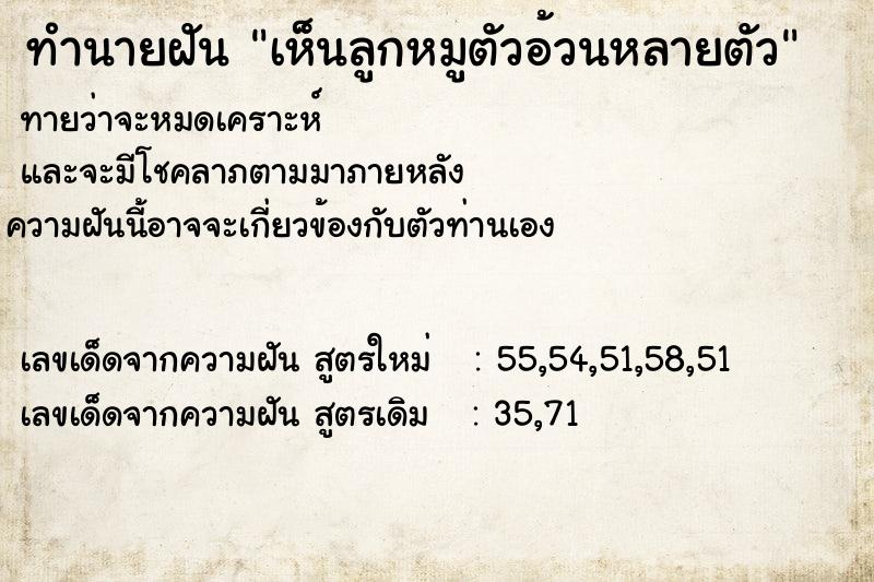 ทำนายฝัน เห็นลูกหมูตัวอ้วนหลายตัว ทำนายฝัน เห็นลูกหมูตัวอ้วนหลายตัว
