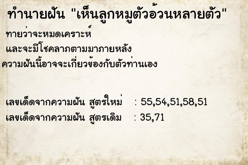 ทำนายฝัน เห็นลูกหมูตัวอ้วนหลายตัว ตำราโบราณ แม่นที่สุดในโลก