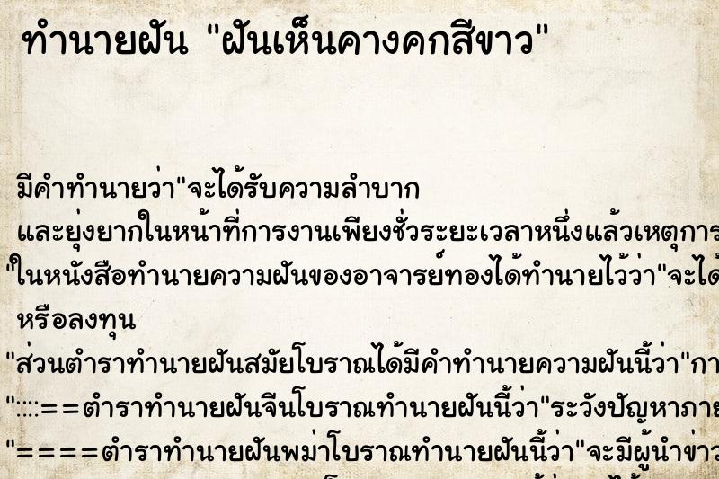 ทำนายฝัน ฝันเห็นคางคกสีขาว ทำนายฝัน ฝันเห็นคางคกสีขาว