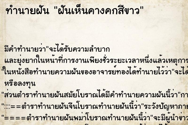 ทำนายฝัน ฝันเห็นคางคกสีขาว ตำราโบราณ แม่นที่สุดในโลก