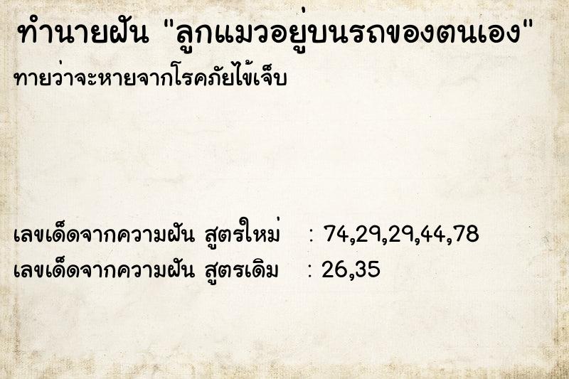ทำนายฝันทำนายฝันลูกแมวอยู่บนรถของตนเอง
