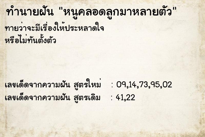 ทำนายฝันหนูคลอดลูกมาหลายตัว ทำนายฝันทำนายฝันหนูคลอดลูกมาหลายตัว