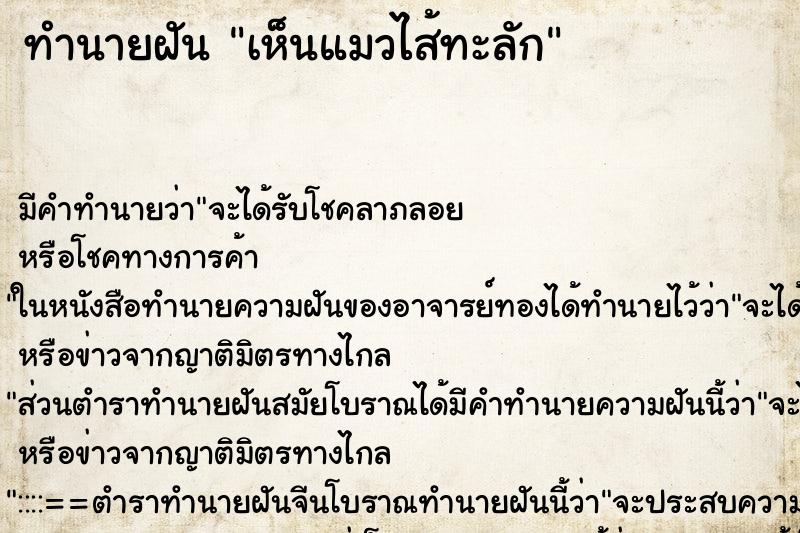 ทำนายฝัน เห็นแมวไส้ทะลัก ทำนายฝัน เห็นแมวไส้ทะลัก