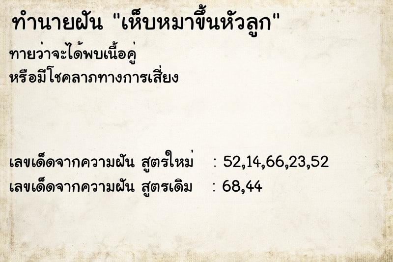 ทำนายฝันเห็บหมาขึ้นหัวลูก ทำนายฝันทำนายฝันเห็บหมาขึ้นหัวลูก