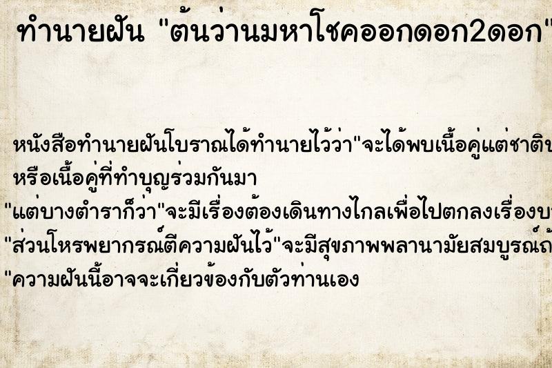 ทำนายฝันต้นว่านมหาโชคออกดอก2ดอก ทำนายฝันทำนายฝันต้นว่านมหาโชคออกดอก2ดอก