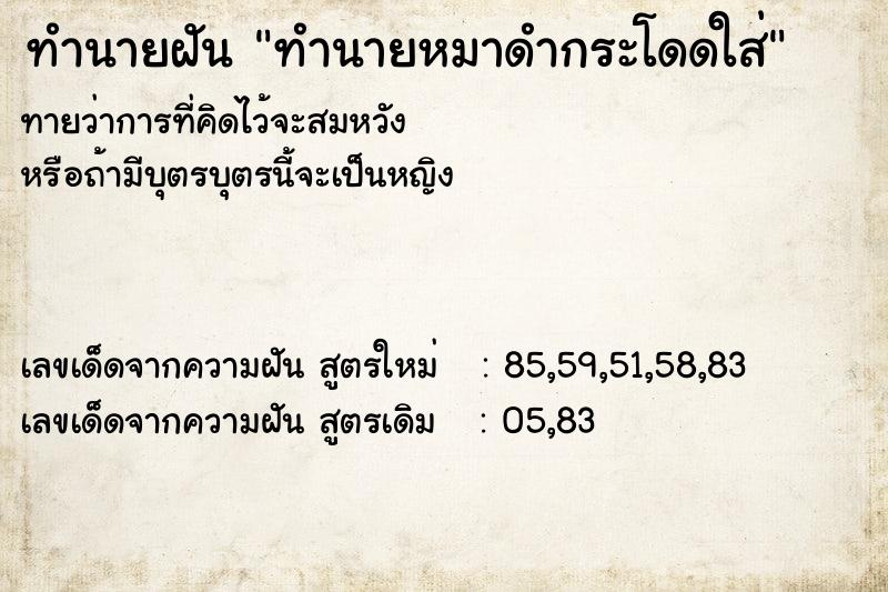 ทำนายฝัน ทำนายหมาดำกระโดดใส่ ทำนายฝัน ทำนายหมาดำกระโดดใส่