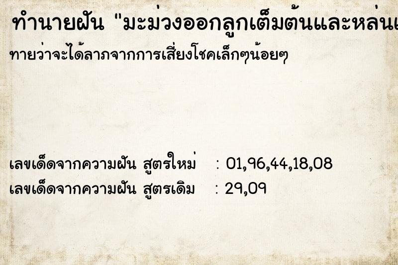 ทำนายฝันทำนายฝันมะม่วงออกลูกเต็มต้นและหล่นเต็มพื้นเก็บเอา2ลูก