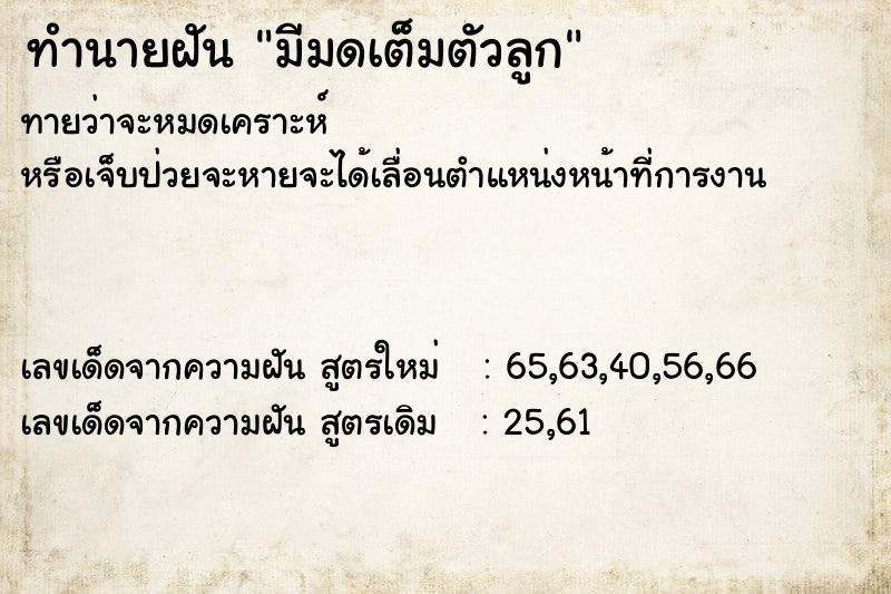 ทำนายฝันทำนายฝันมีมดเต็มตัวลูก