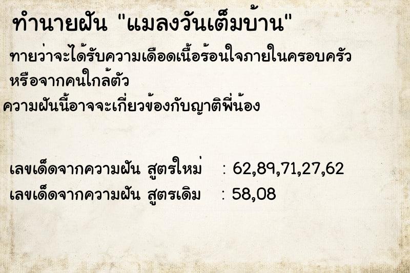 ทำนายฝันทำนายฝันแมลงวันเต็มบ้าน