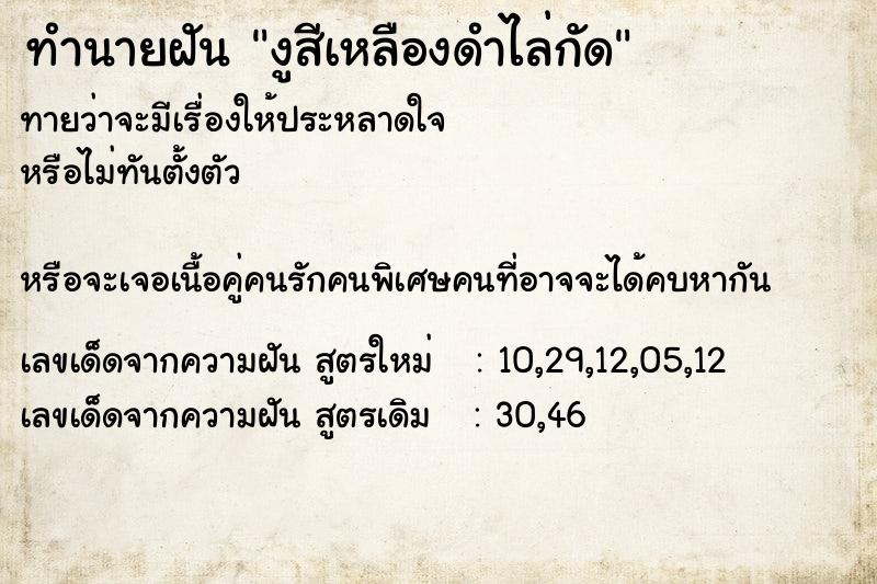 ทำนายฝันงูสีเหลืองดำไล่กัด ทำนายฝันทำนายฝันงูสีเหลืองดำไล่กัด