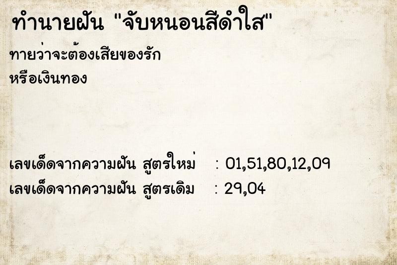 ทำนายฝัน จับหนอนสีดำใส ทำนายฝัน จับหนอนสีดำใส