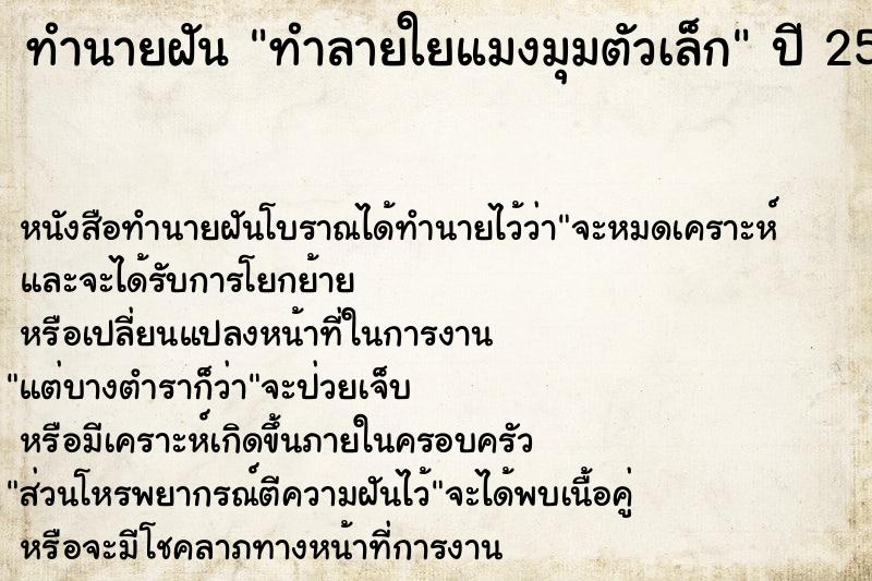 ทำนายฝันทำนายฝันทำลายใยแมงมุมตัวเล็ก