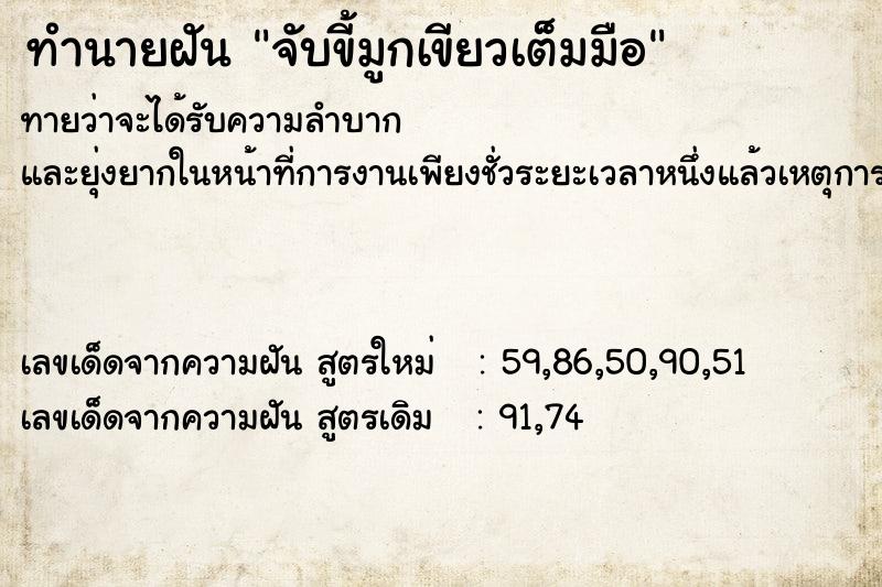 ทำนายฝันจับขี้มูกเขียวเต็มมือ ทำนายฝันทำนายฝันจับขี้มูกเขียวเต็มมือ