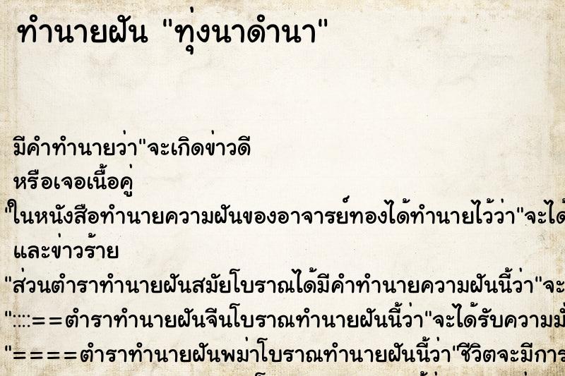 ทำนายฝันทุ่งนาดำนา ทำนายฝันทำนายฝันทุ่งนาดำนา