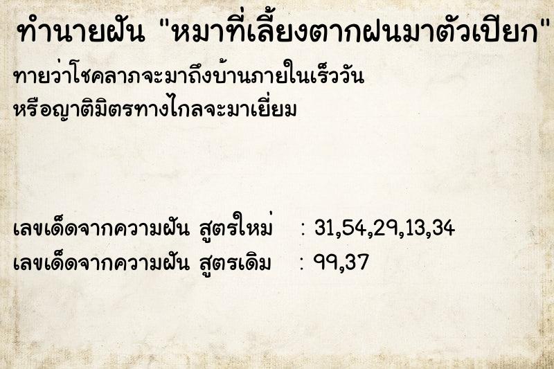 ทำนายฝันหมาที่เลี้ยงตากฝนมาตัวเปียก ทำนายฝันทำนายฝันหมาที่เลี้ยงตากฝนมาตัวเปียก