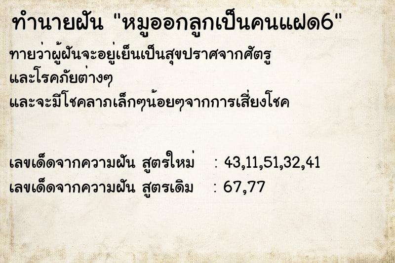 ทำนายฝันทำนายฝันหมูออกลูกเป็นคนแฝด6