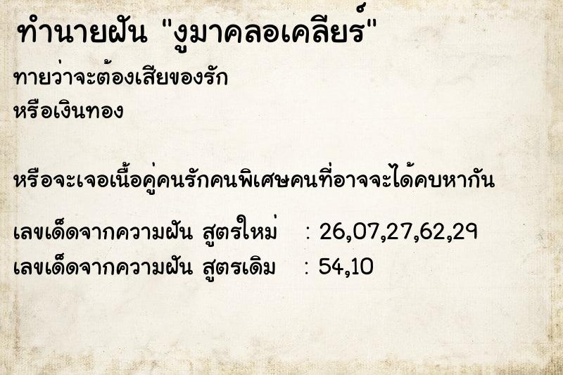 ทำนายฝันงูมาคลอเคลียร์ ทำนายฝันทำนายฝันงูมาคลอเคลียร์