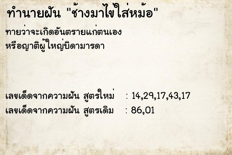ทำนายฝันช้างมาไข่ใส่หม้อ ทำนายฝันทำนายฝันช้างมาไข่ใส่หม้อ