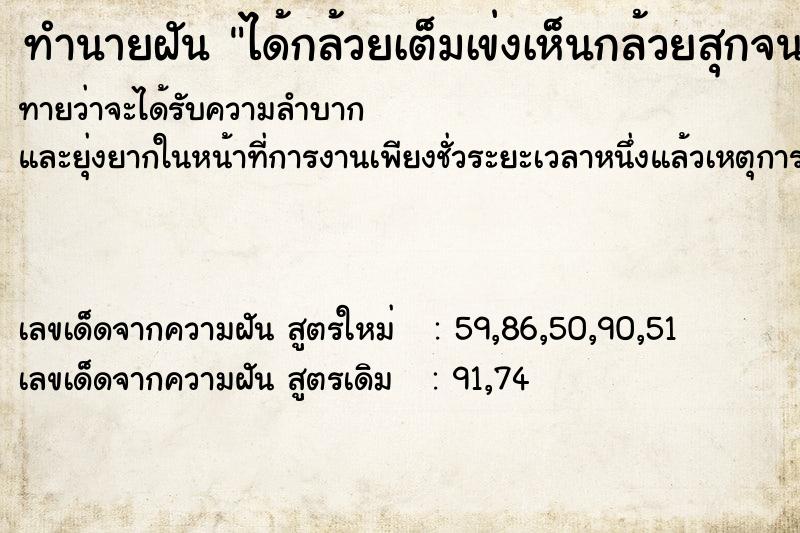 ทำนายฝันทำนายฝันได้กล้วยเต็มเข่งเห็นกล้วยสุกจนเปือกดำ