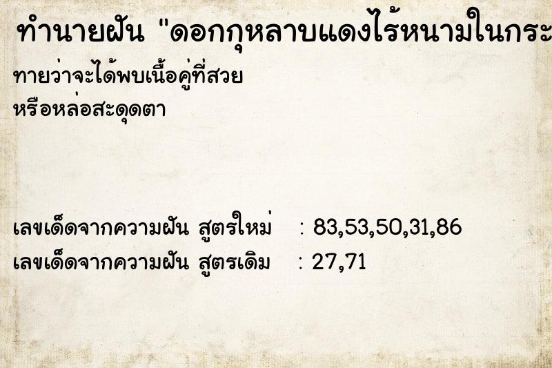 ทำนายฝันดอกกุหลาบแดงไร้หนามในกระถาง ทำนายฝันทำนายฝันดอกกุหลาบแดงไร้หนามในกระถาง