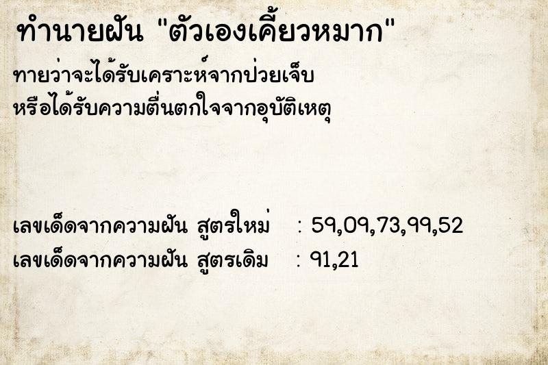 ทำนายฝันตัวเองเคี้ยวหมาก ทำนายฝันทำนายฝันตัวเองเคี้ยวหมาก